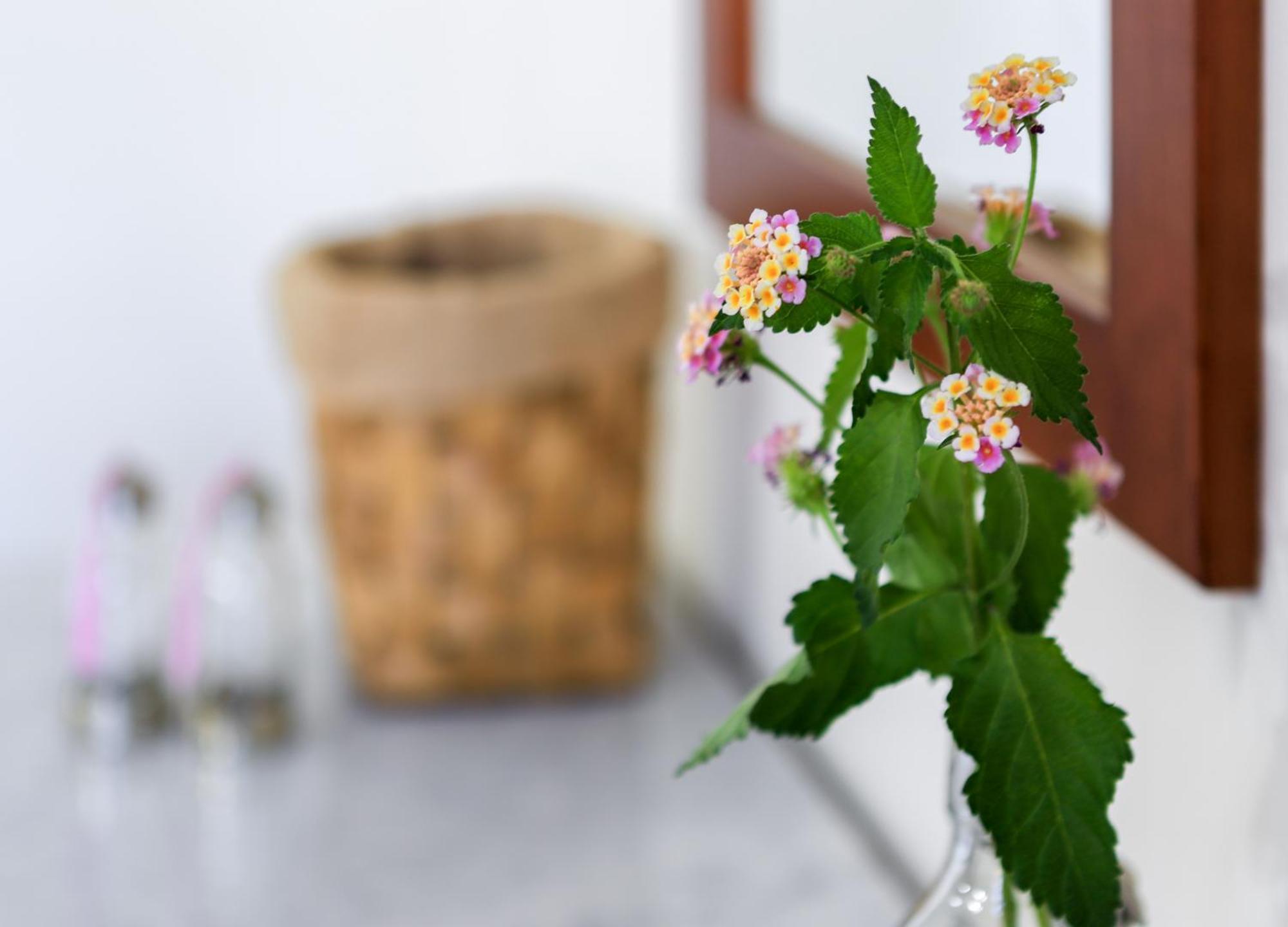 Douliana Villas 部屋 写真