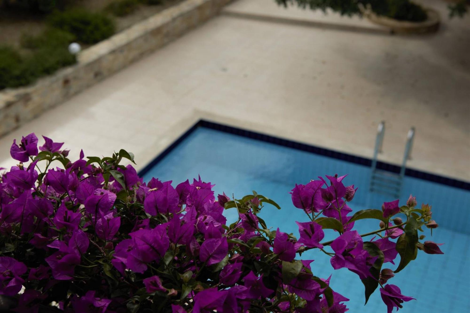 Douliana Villas エクステリア 写真